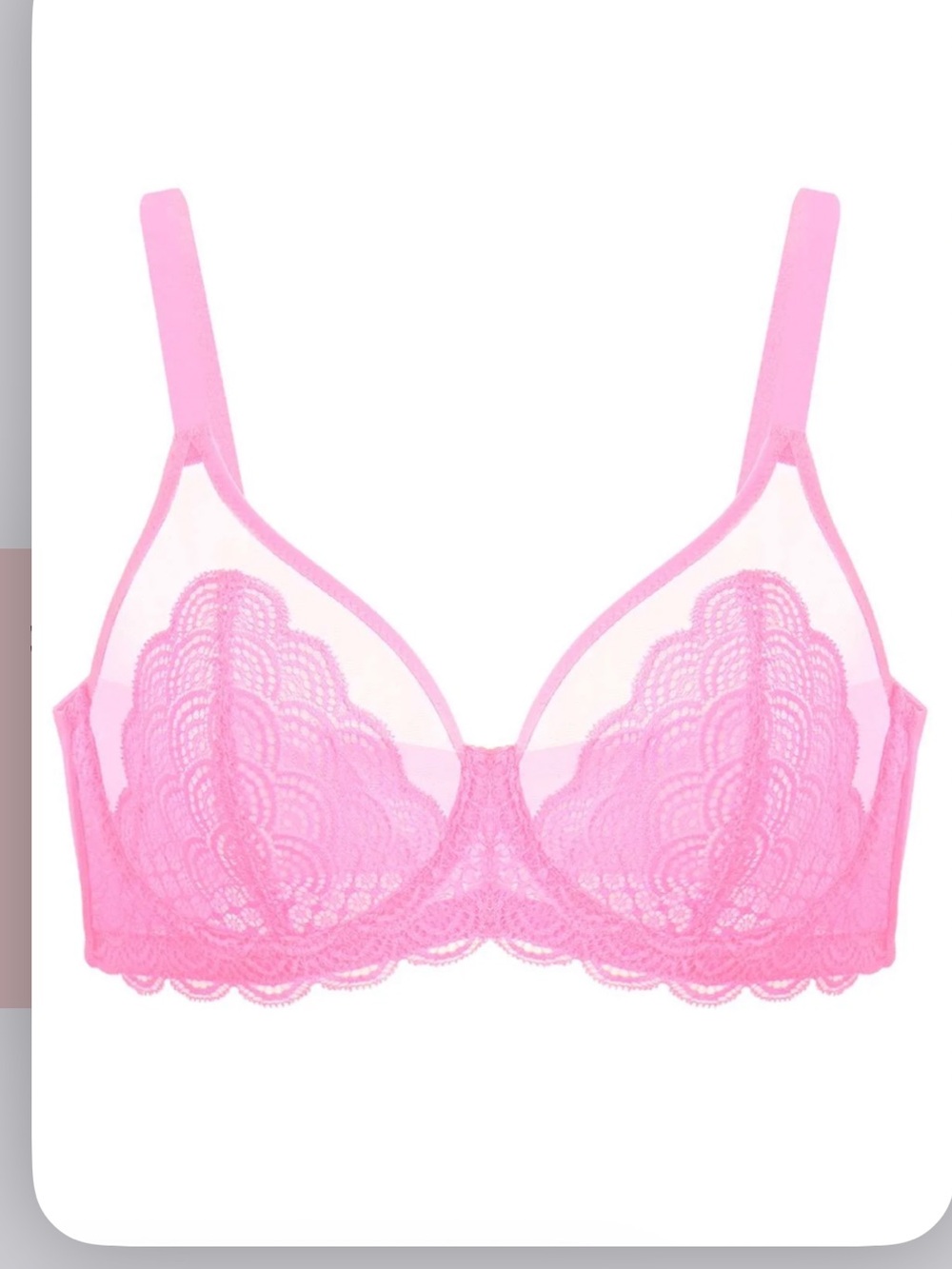 HSIA Mermaid Scales Lace Unlined Bra in Pink, NWT, Size 36H
